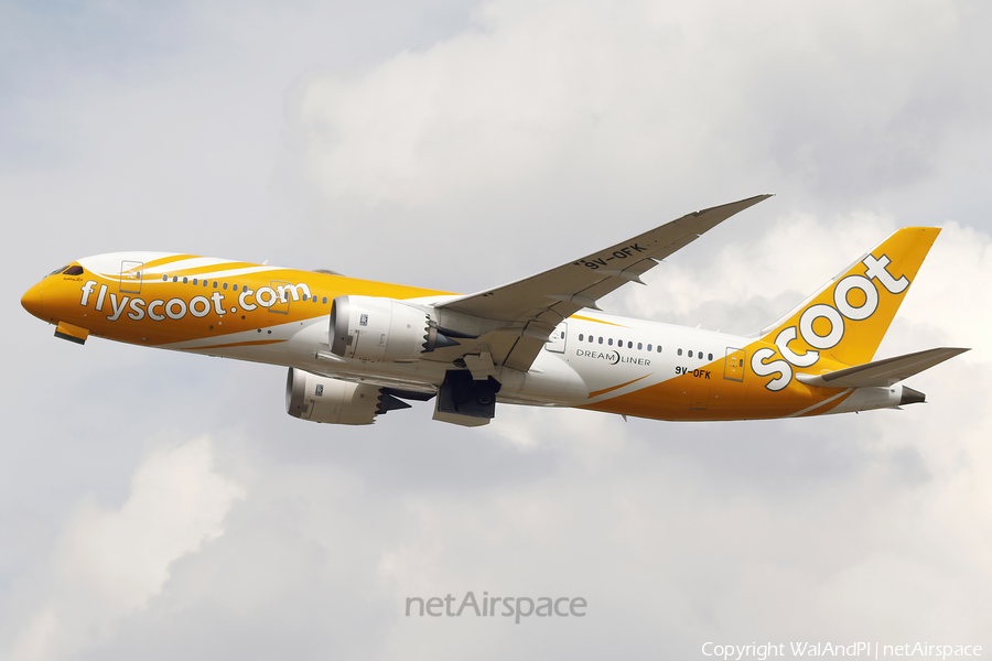 Scoot Boeing 787-8 Dreamliner (9V-OFK) | Photo 521522