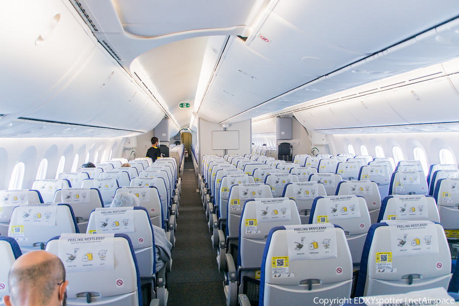 Scoot Boeing 787-8 Dreamliner (9V-OFK) | Photo 487985