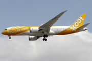 Scoot Boeing 787-8 Dreamliner (9V-OFK) at  Singapore - Changi, Singapore