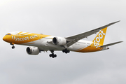 Scoot Boeing 787-9 Dreamliner (9V-OJB) at  Singapore - Changi, Singapore