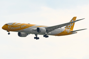 Scoot Boeing 787-9 Dreamliner (9V-OJH) at  Singapore - Changi, Singapore