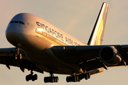 Singapore Airlines Airbus A380-841 (9V-SKD) at  London - Heathrow, United Kingdom