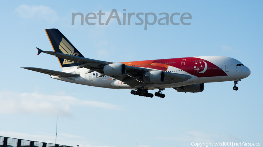 Singapore Airlines Airbus A380-841 (9V-SKJ) | Photo 118138