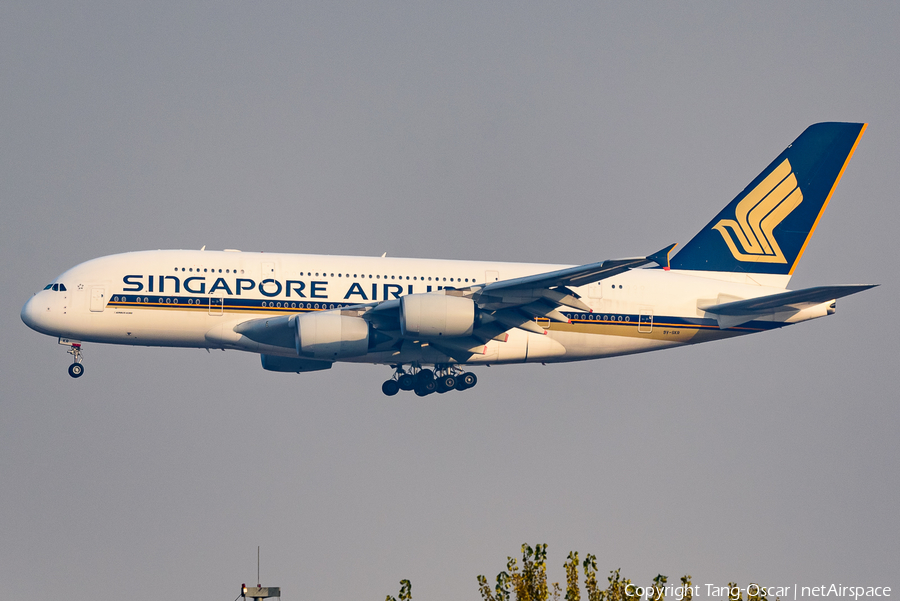 Singapore Airlines Airbus A380-841 (9V-SKR) | Photo 619767