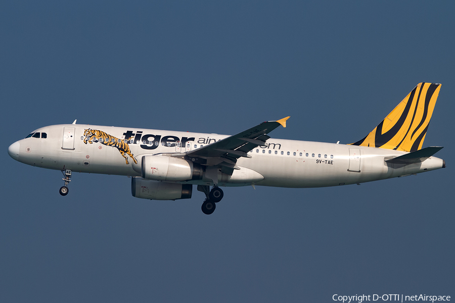 Tiger Airways Airbus A320-232 (9V-TAE) | Photo 397182