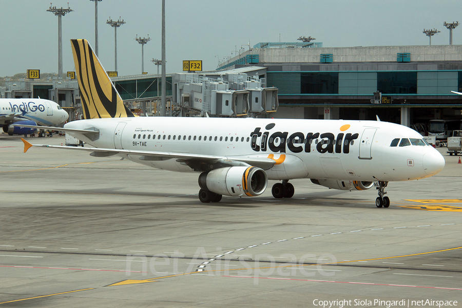 Tiger Airways Airbus A320-232 (9V-TAE) | Photo 360513