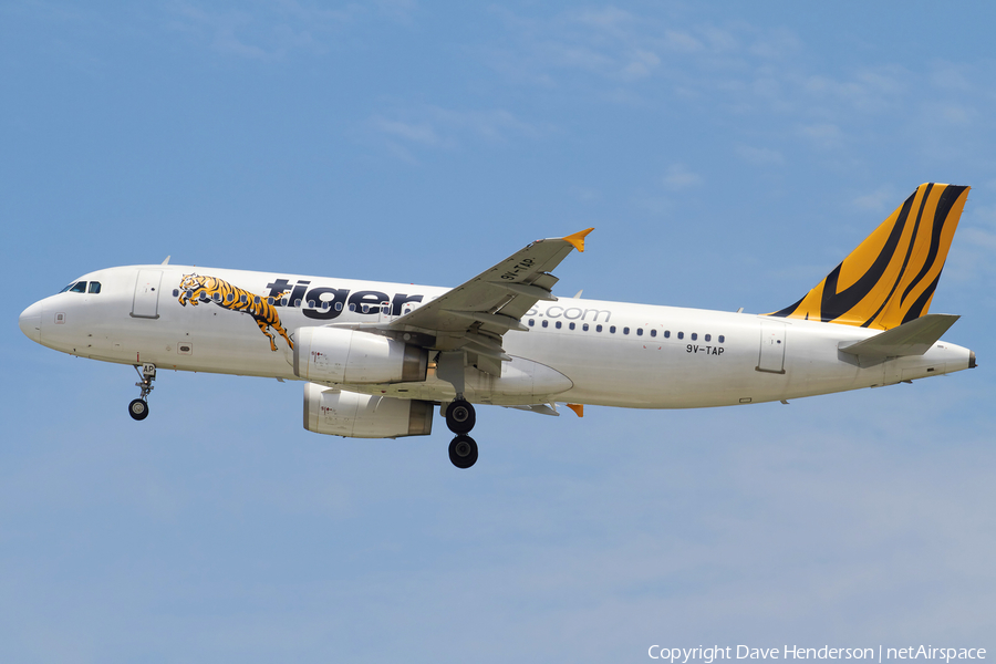 Tiger Airways Airbus A320-232 (9V-TAP) | Photo 21830