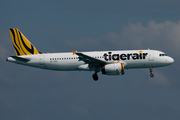 Tiger Airways Airbus A320-232 (9V-TAQ) at  Phuket, Thailand