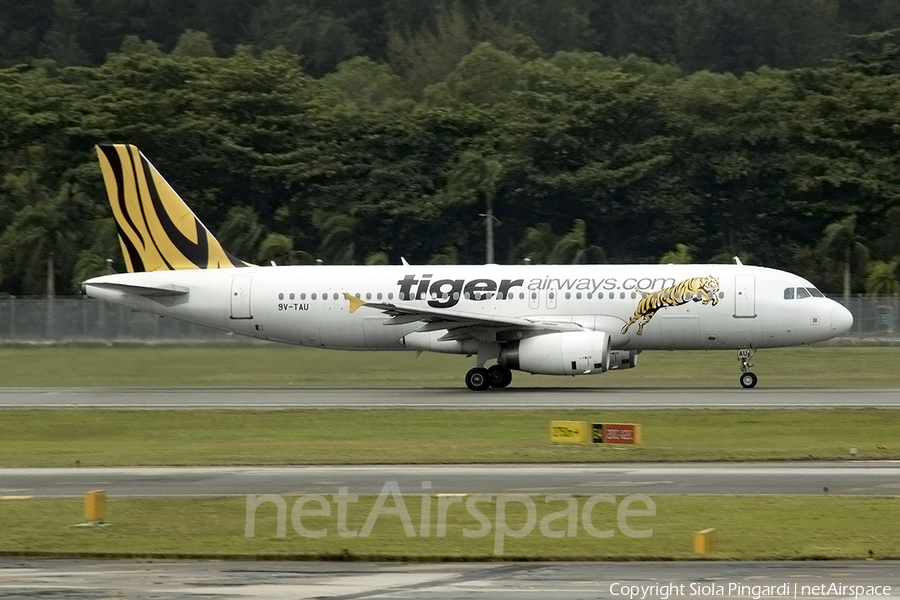 Tiger Airways Airbus A320-232 (9V-TAU) | Photo 383157