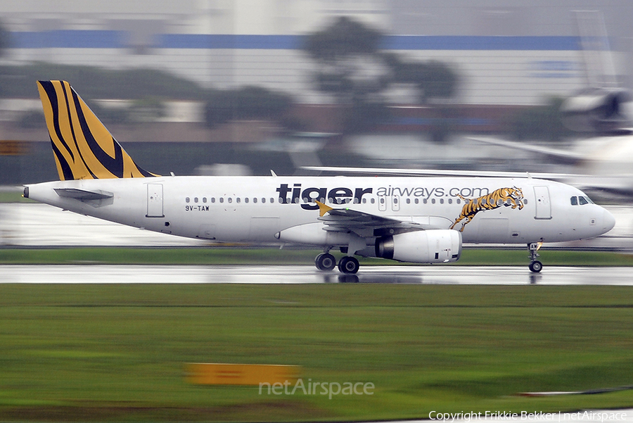 Tiger Airways Airbus A320-232 (9V-TAW) | Photo 27190