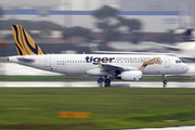 Tiger Airways Airbus A320-232 (9V-TAW) at  Singapore - Changi, Singapore