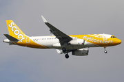 Scoot Airbus A320-232 (9V-TRI) at  Singapore - Changi, Singapore