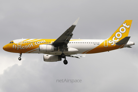 Scoot Airbus A320-232 (9V-TRN) at  Singapore - Changi, Singapore