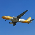 Scoot Airbus A320-232 (9V-TRO) at  Balikpapan Sepinggan - International, Indonesia