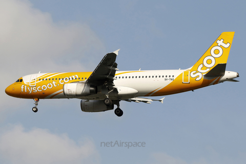 Scoot Airbus A320-232 (9V-TRO) at  Singapore - Changi, Singapore