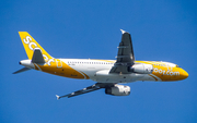 Scoot Airbus A320-232 (9V-TRU) at  Yogyakarta - International, Indonesia