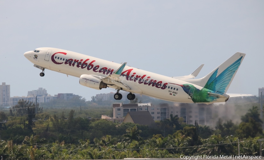 Caribbean Airlines Boeing 737-8Q8 (9Y-ANU) | Photo 304221
