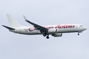 Caribbean Airlines Boeing 737-8Q8 (9Y-JMD) at  New York - John F. Kennedy International, United States