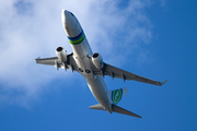 Caribbean Airlines Boeing 737-8K2 (9Y-TJR) at  New York - John F. Kennedy International, United States