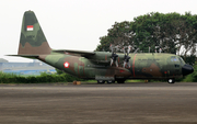 Indonesian Air Force (TNI-AU) Lockheed C-130B Hercules (A-1304) at  Bandung - Husein Sastranegara International, Indonesia