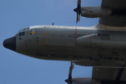 Indonesian Air Force (TNI-AU) Lockheed C-130H Hercules (A-1316) at  Madion - Iswahyudi Airbase, Indonesia