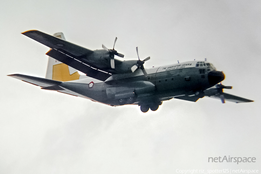 Indonesian Air Force (TNI-AU) Lockheed C-130H Hercules (A-1316) | Photo 661961