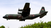 Indonesian Air Force (TNI-AU) Lockheed C-130H-30 Hercules (A-1317) at  Balikpapan Sepinggan - International, Indonesia