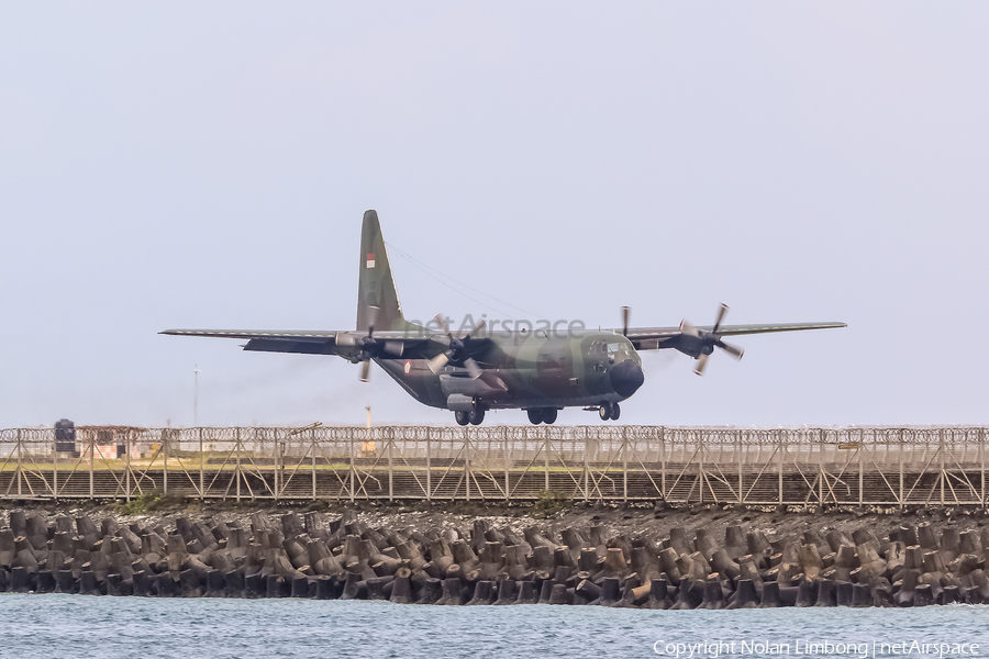 Indonesian Air Force (TNI-AU) Lockheed C-130H-30 Hercules (A-1317) | Photo 537759