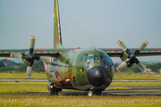 Indonesian Air Force (TNI-AU) Lockheed C-130H-30 Hercules (A-1317) at  Adisumarmo International, Indonesia