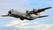 Indonesian Air Force (TNI-AU) Lockheed C-130H-30 Hercules (A-1318) at  Bandung - Husein Sastranegara International, Indonesia