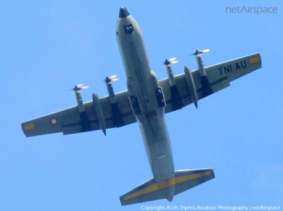 Indonesian Air Force (TNI-AU) Lockheed C-130H-30 Hercules (A-1318) | Photo 433986