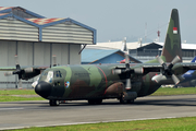 Indonesian Air Force (TNI-AU) Lockheed C-130H-30 Hercules (A-1319) at  Bandung - Husein Sastranegara International, Indonesia