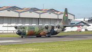 Indonesian Air Force (TNI-AU) Lockheed C-130H-30 Hercules (A-1319) at  Bandung - Husein Sastranegara International, Indonesia