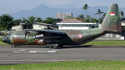 Indonesian Air Force (TNI-AU) Lockheed C-130H-30 Hercules (A-1319) at  Bandung - Husein Sastranegara International, Indonesia