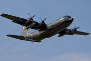 Indonesian Air Force (TNI-AU) Lockheed C-130H-30 Hercules (A-1319) at  Madion - Iswahyudi Airbase, Indonesia