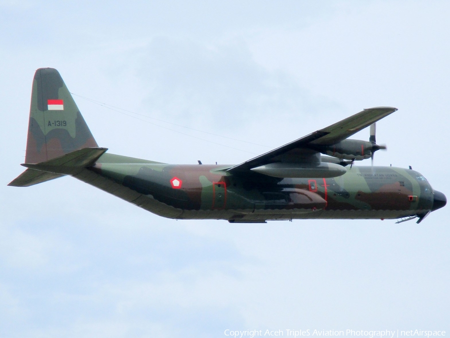 Indonesian Air Force (TNI-AU) Lockheed C-130H-30 Hercules (A-1319) | Photo 209216