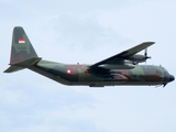 Indonesian Air Force (TNI-AU) Lockheed C-130H-30 Hercules (A-1319) at  Banda Aceh - Sultan Iskandar Muda International, Indonesia