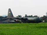 Indonesian Air Force (TNI-AU) Lockheed C-130H Hercules (A-1323) at  Bandung - Husein Sastranegara International, Indonesia