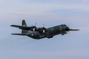 Indonesian Air Force (TNI-AU) Lockheed L-100-30 (Model 382G) Hercules (A-1326) at  Denpasar/Bali - Ngurah Rai International, Indonesia