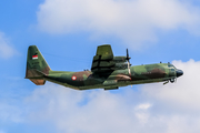 Indonesian Air Force (TNI-AU) Lockheed L-100-30 (Model 382G) Hercules (A-1326) at  Denpasar/Bali - Ngurah Rai International, Indonesia