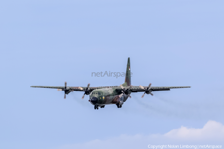 Indonesian Air Force (TNI-AU) Lockheed L-100-30 (Model 382G) Hercules (A-1326) | Photo 537782