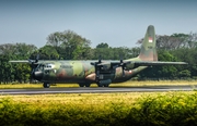 Indonesian Air Force (TNI-AU) Lockheed L-100-30 (Model 382G) Hercules (A-1328) at  Adisumarmo International, Indonesia