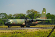 Indonesian Air Force (TNI-AU) Lockheed L-100-30 (Model 382G) Hercules (A-1328) at  Adisumarmo International, Indonesia