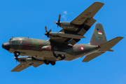 Indonesian Air Force (TNI-AU) Lockheed C-130H Hercules (A-1330) at  Madion - Iswahyudi Airbase, Indonesia