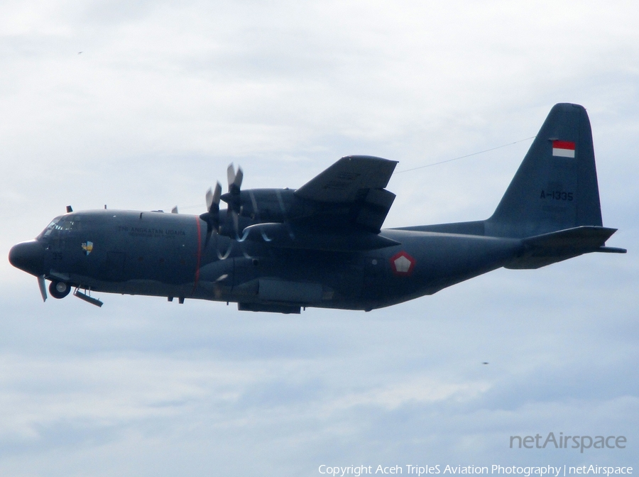 Indonesian Air Force (TNI-AU) Lockheed C-130H Hercules (A-1335) | Photo 435686
