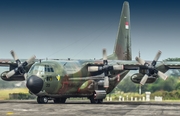 Indonesian Air Force (TNI-AU) Lockheed C-130H Hercules (A-1335) at  Adisumarmo International, Indonesia