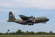 Indonesian Air Force (TNI-AU) Lockheed C-130H Hercules (A-1336) at  Malikus Saleh, Indonesia