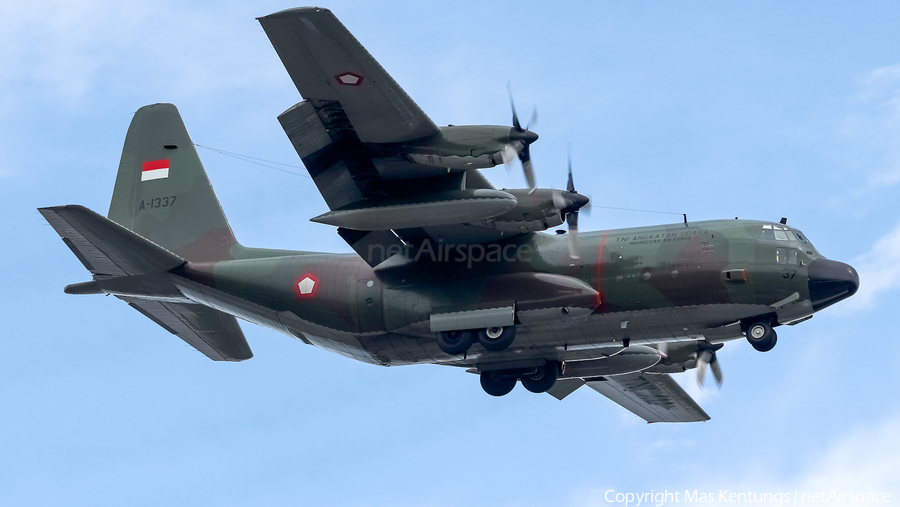 Indonesian Air Force (TNI-AU) Lockheed C-130H Hercules (A-1337) | Photo 549979