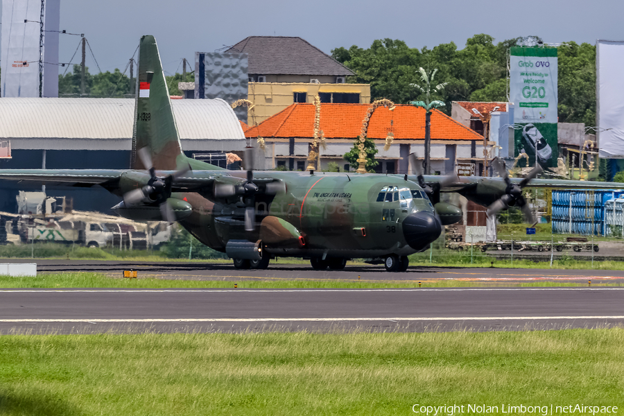 Indonesian Air Force (TNI-AU) Lockheed C-130H Hercules (A-1338) | Photo 537818