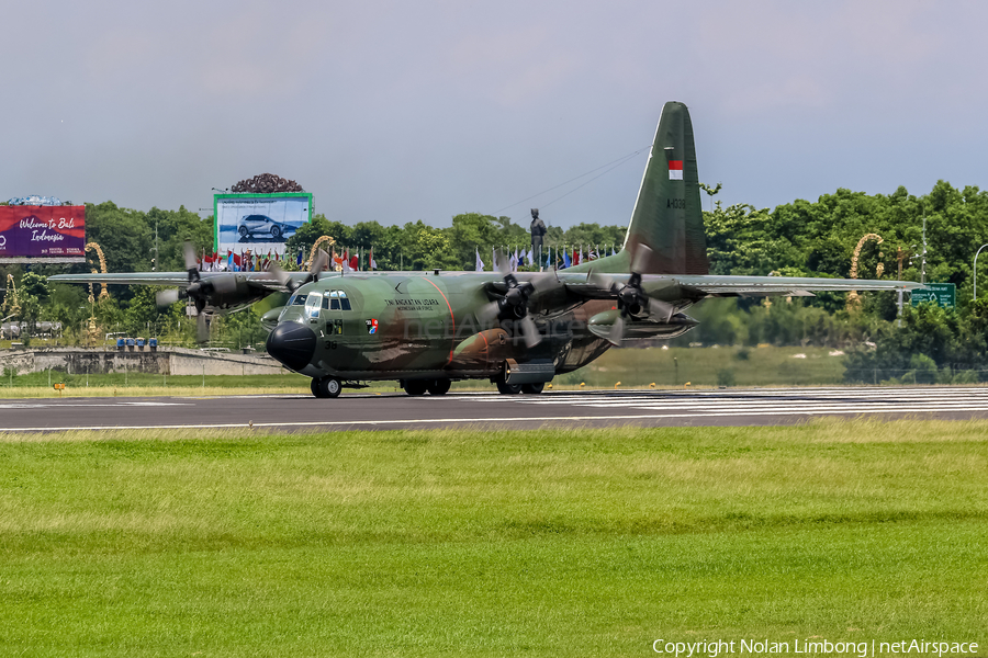 Indonesian Air Force (TNI-AU) Lockheed C-130H Hercules (A-1338) | Photo 537821